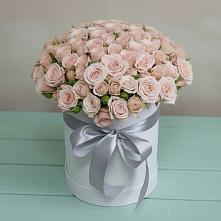 Цветочная композиция из Розы в шляпной коробке #REPLACE_PRED# Вавож