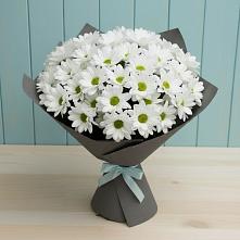 Букет цветов из:  Хризантемы в Вавож