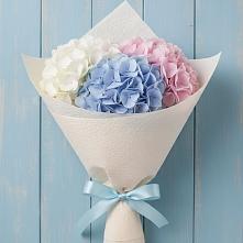 Букет цветов из:  Гортензия в Вавож