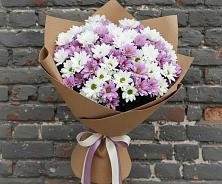 Букет цветов из:  Хризантемы в Вавож