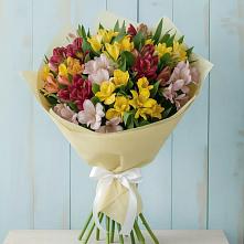 Букет цветов из:  Альстромерии в Вавож