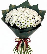 Букет цветов из:  Хризантемы #REPLACE_PRED# Вавож