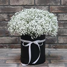 Цветочная композиция из Гипсофила в шляпной коробке #REPLACE_PRED# Вавож