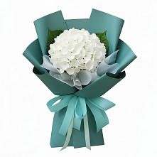 Букет цветов из:  Гортензия в Вавож